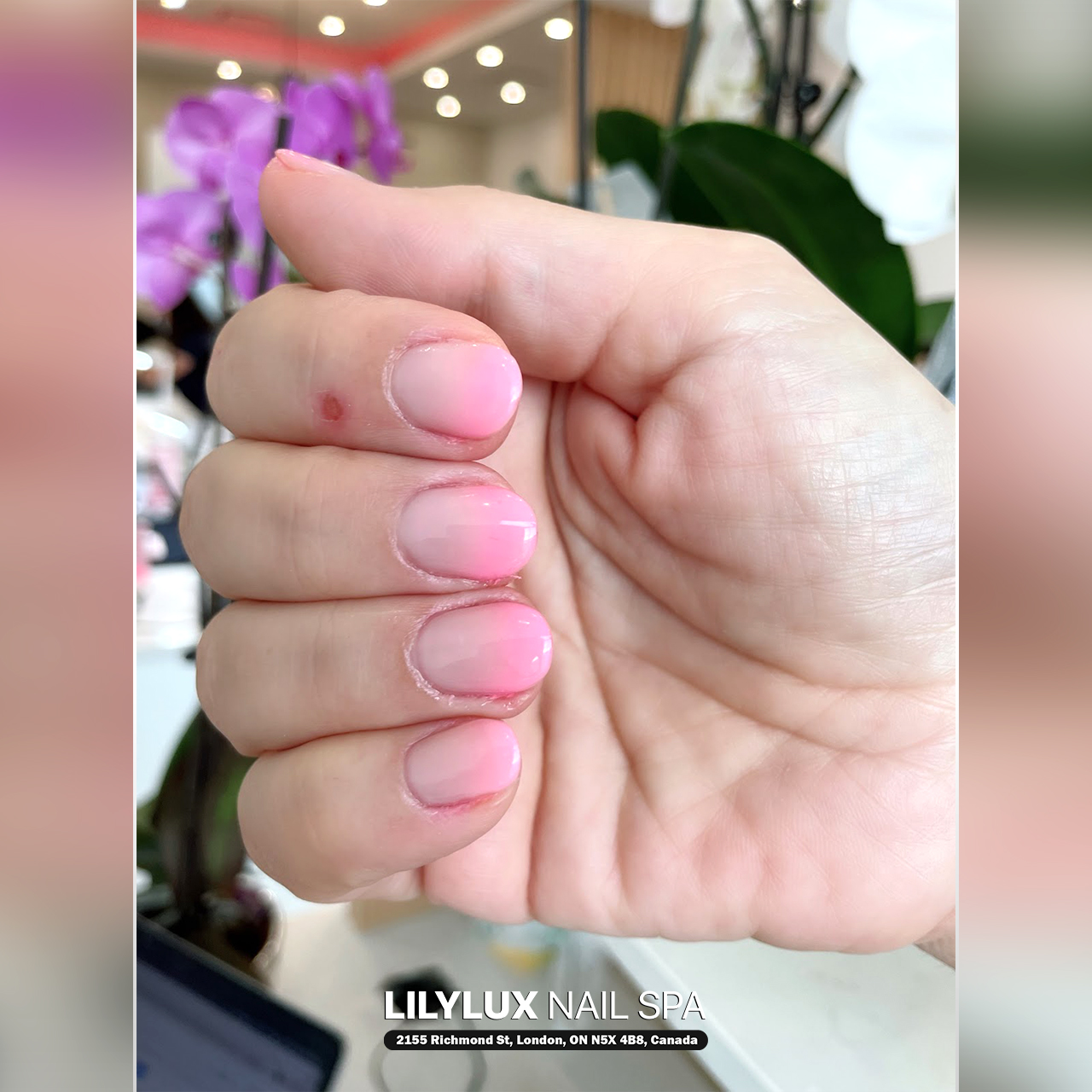Nail art design at Organic Nails Orleans